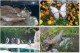 Puzzle Pack 6 1.0 Screenshot
