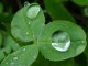 Rain Drops ScreenSaver 2.0 Rain Drops ScreenSaver 2.0