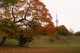 Scenic Autumn Screensaver 2.00