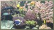 Screensaver Aquarium Real Life 3 1.0
