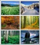 Seasonal Changes Screensaver 1.0