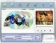 SecondLife AVI MPEG DVD Converter 1.1.34