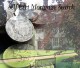 Self Cert Mortgage 1