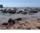 Selten Rock Pools Wallpaper 1.00