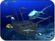 SharkVisions 2.0 Screenshot