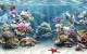 SimAQUARIUM Complete 2.6