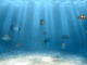 SimAQUARIUM Free 2.32 Screenshot