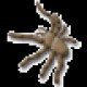 Site Spider 1.0.0