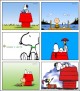 Snoopy Screensaver 1.0