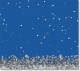 Snowy Desktop Screen Saver 1.0