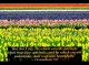 Spring (with Bible Verses) Screensaver 2.0