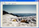 Stardust Image Viewer 2003 1.0.0.3 Stardust Image Viewer 2003 1.0.0.3