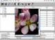 Stellar Phoenix Macintosh - MAC Data Recovery Soft 1.0