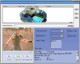 Super FLV Converter 1.1.46