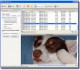 SUPERFileRecover 3.1.1000