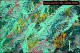 Texture Screensaver EV Z.00