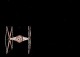 Tie Fighter Screen Saver 1.0