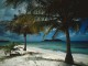 Tropical Island Landscapes III 1.00