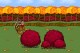 Turkey Shoot 1.1