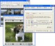 TZO Dynamic DNS Client with Photo Sharing 2.1.3