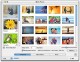 Ulead DVD PictureShow for Mac 1 Ulead DVD PictureShow for Mac 1