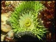 Underwater World Screensaver 1.0