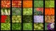 Vegetables III screensaver 1.0 Vegetables III screensaver 1.0