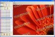 Visual Watermark Software - Photo Watermarking Sof 2.5 Visual Watermark Software - Photo Watermarking Sof 2.5