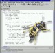 Wasp Static Error Checker 3.1