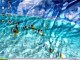 Watery Desktop 3D 3.24