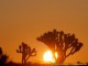 Western Sunsets 2.0 Screenshot
