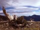 Wild Places 3.0