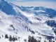Winter Wonders Screensaver 2.0