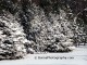 Wisconsin Snowscapes Screensaver 4.50