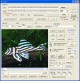X360 Tiff Image & Fax Viewer ActiveX Control 2.0 X360 Tiff Image & Fax Viewer ActiveX Control 2.0