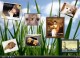 XDeskPhoto 1.3