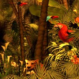 3D Rain Forest Adventures 1.0 screenshot