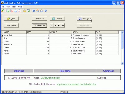 ABC Amber DBF Converter 3.09 screenshot