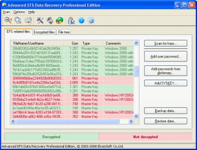 Advanced EFS Data Recovery 4.50 screenshot