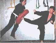 Affiliate Package for Solo Martial Arts 1.0 screenshot