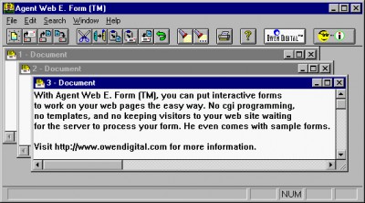 Agent Web E. Form (TM) 1.0 screenshot