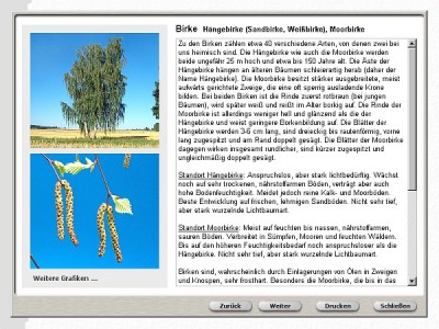 Alles über Bäume 3.2.0 screenshot
