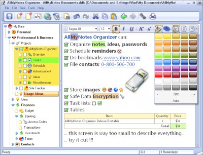 AllMyNotes Organizer Portable 4.09 Beta screenshot