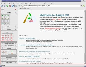 Amaya 9.53 screenshot