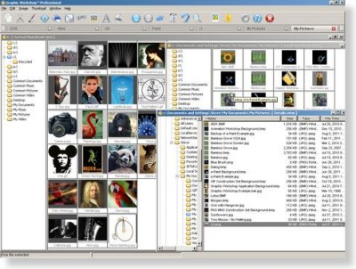 AMC Graphic Workshop Pro 12.0a.7 screenshot