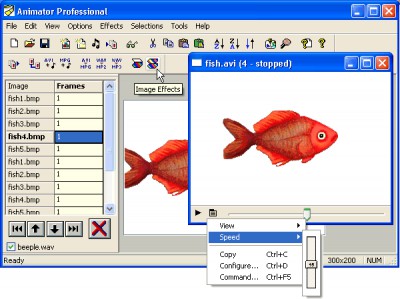 Antechinus Animator Professional 8.6 screenshot