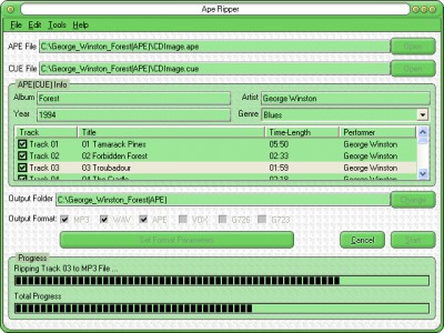 Ape Ripper 6.1.0 screenshot