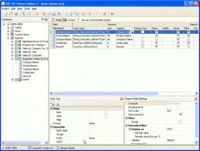 ASP.NET Report Maker 12.0.1 screenshot