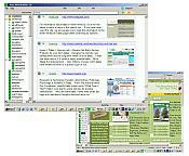 Auto Web Browser 1.5 screenshot