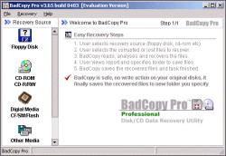 BadCopy Pro v3.9 build 0709 3.9 screenshot